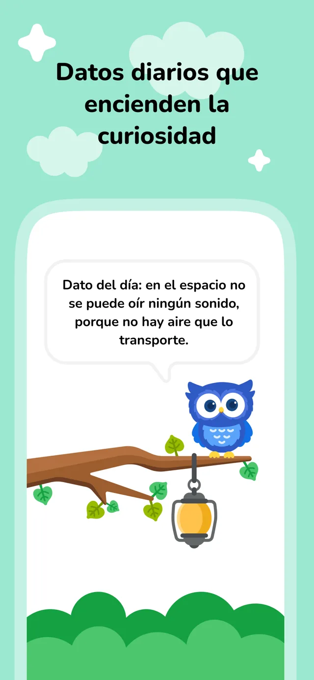 Datos diarios que encienden la curiosidad