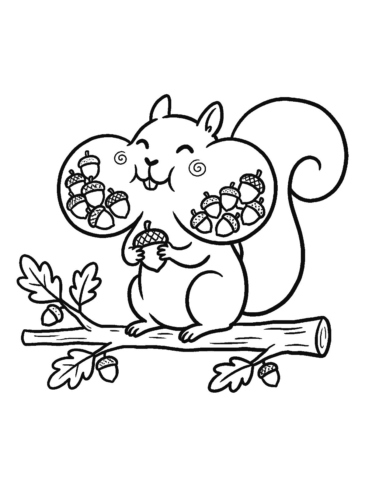 Printable coloring page: a happy squirrel sits on an oak branch with its cheeks stuffed full of acorns, holding one more acorn in its paws