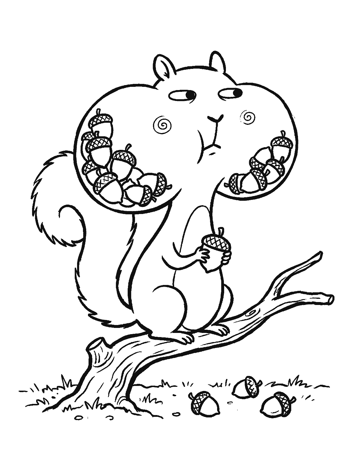 Printable coloring page: a squirrel sits on a branch with cheeks full of acorns, holding one more and giving an innocent sideways look; acorns lie on the ground below