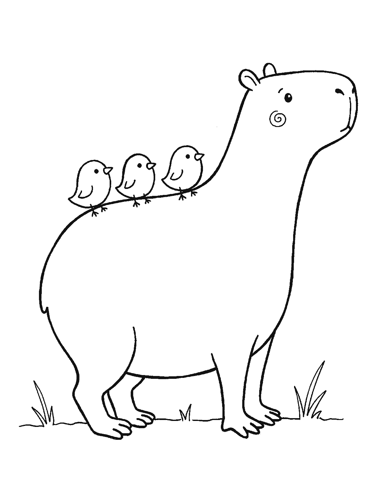 Coloring page: a capybara stands still while three small round birds sit in a neat row along its back