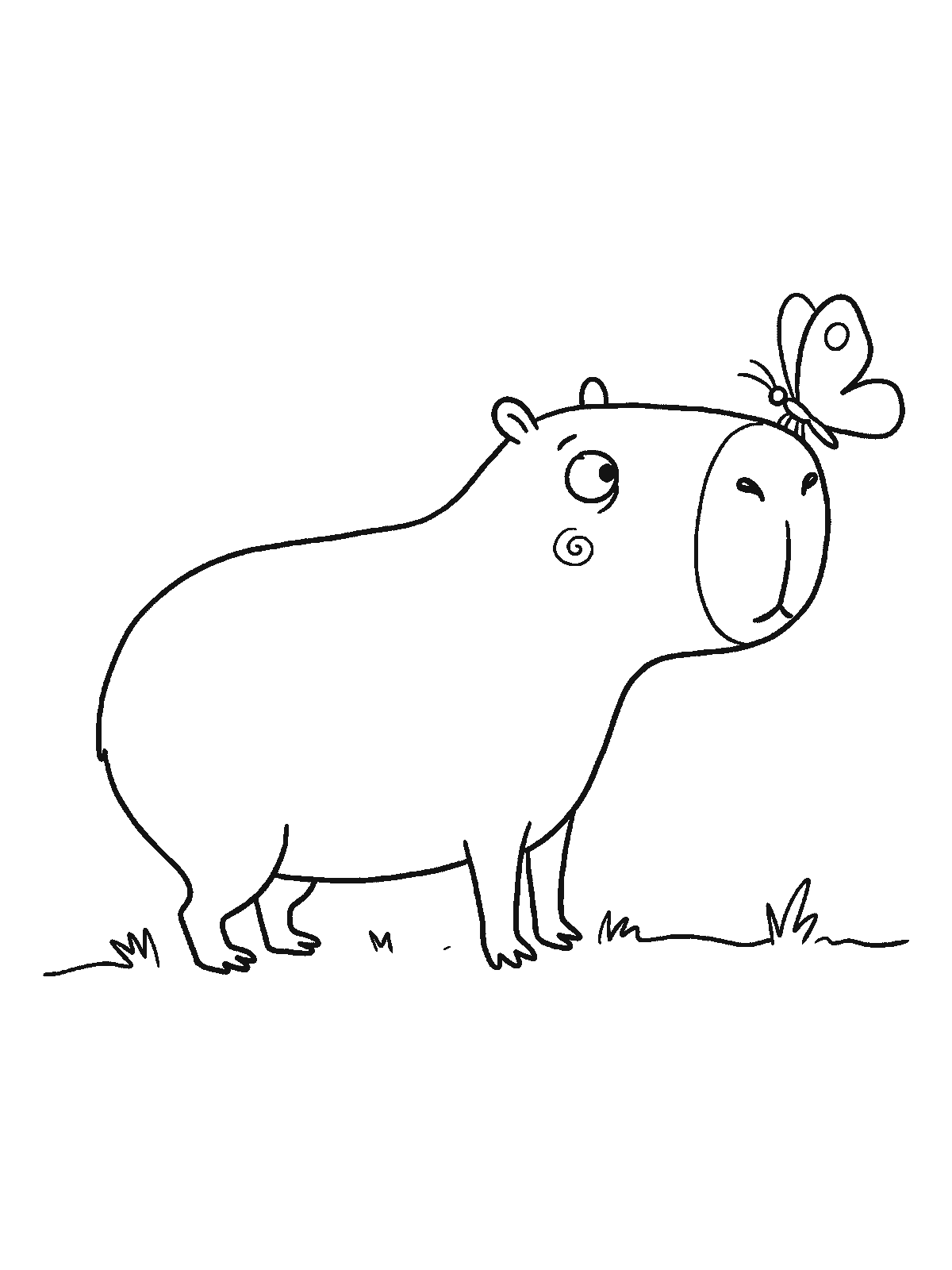 Coloring page: a capybara looks down cross-eyed at a butterfly that has landed on the very tip of its nose