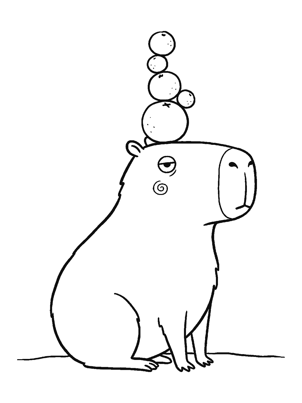 Coloring page: a capybara sits perfectly still with four round oranges stacked one on top of another on its head