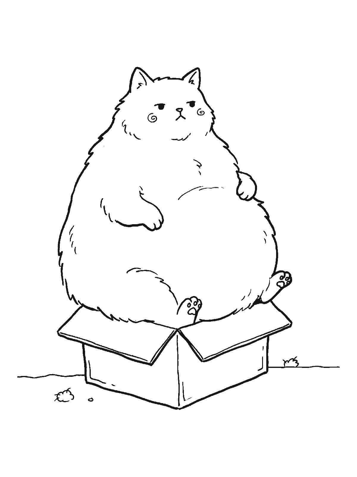 Printable coloring page: a very fluffy, chubby cat sits inside a tiny open cardboard box that is clearly much too small for it