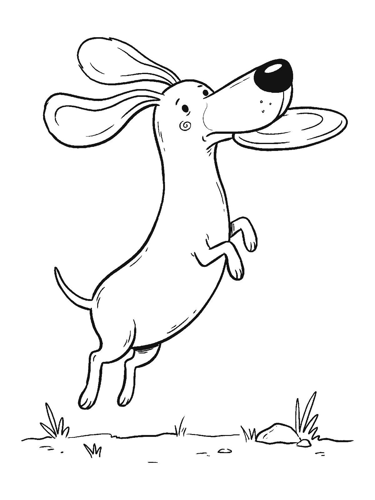 Printable coloring page: a dog leaps high above the grass and catches a flying disc in its mouth, ears flying