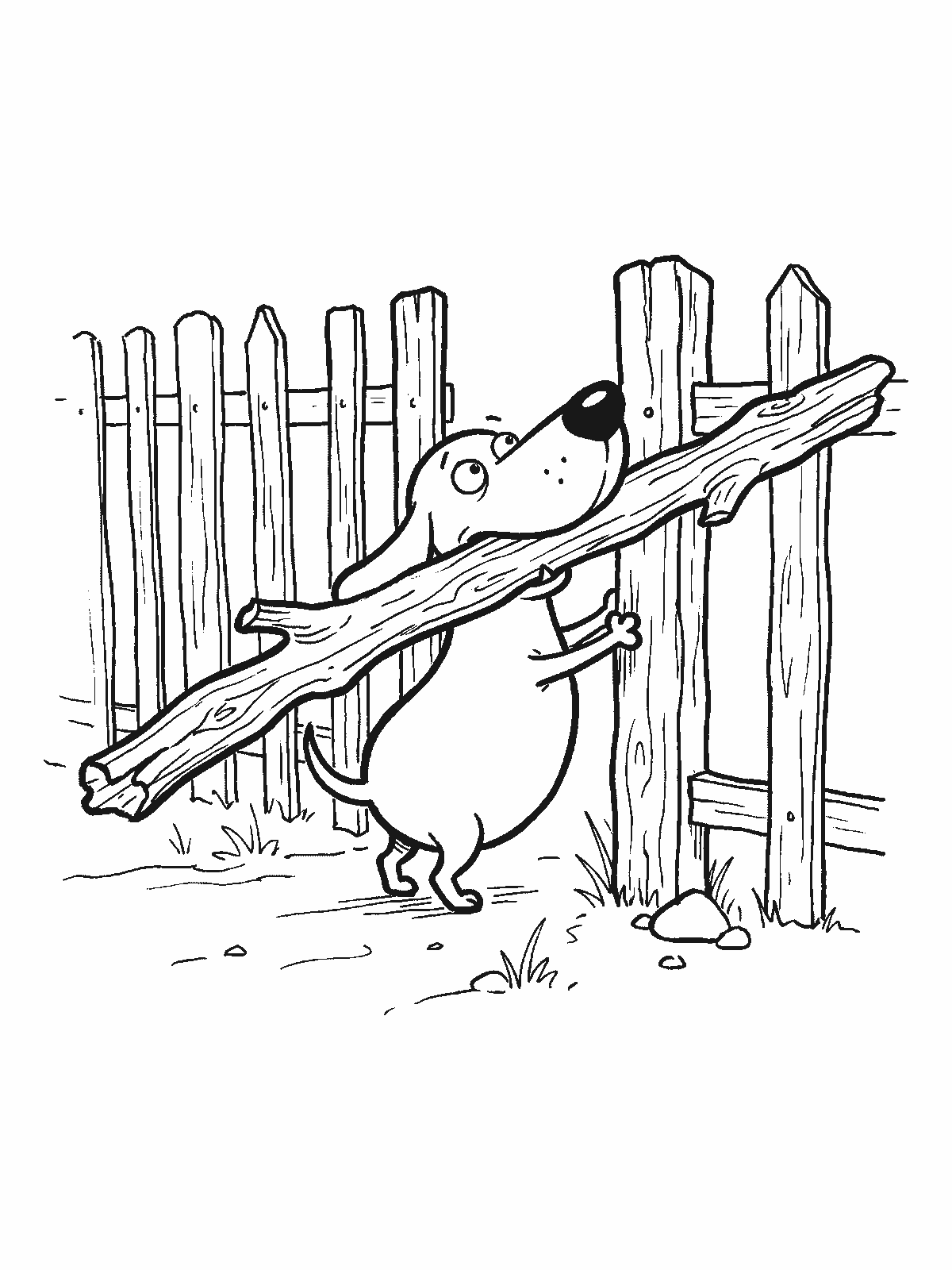 Printable coloring page: a small dog carries a huge stick in its mouth, much wider than itself, and tries to get through a narrow gap in a wooden fence