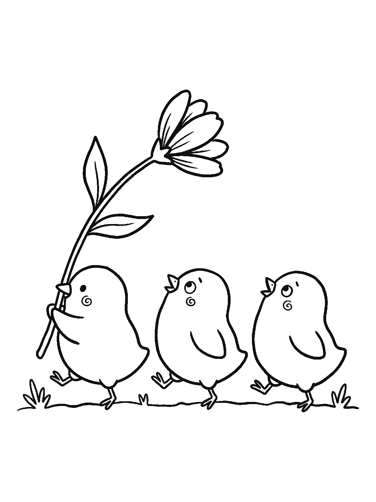 Ausmalbild: Drei runde Küken laufen in einer Reihe hinter einer hohen Blume her, die das erste trägt, alle drei schauen zur Blume hinauf