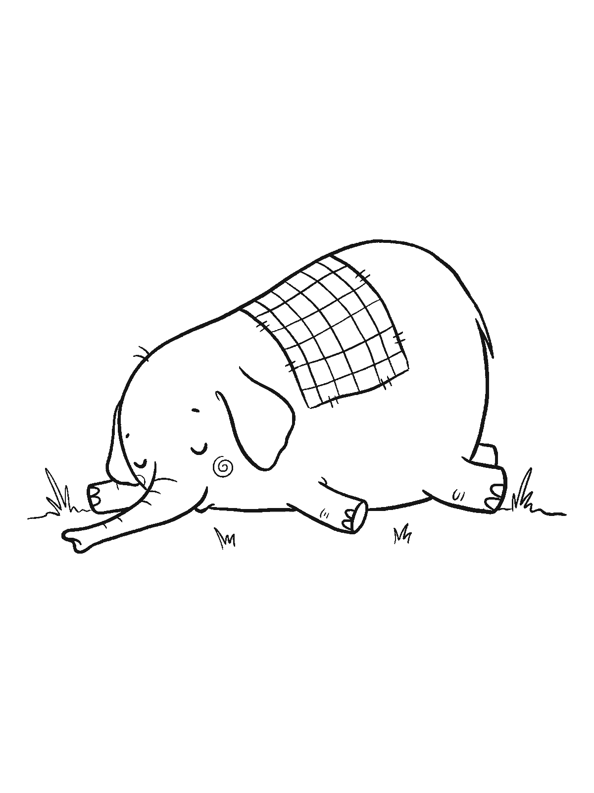 Ausmalbild: Ein Elefant liegt schlafend auf der Seite, eine viel zu kleine karierte Decke bedeckt nur seine Mitte