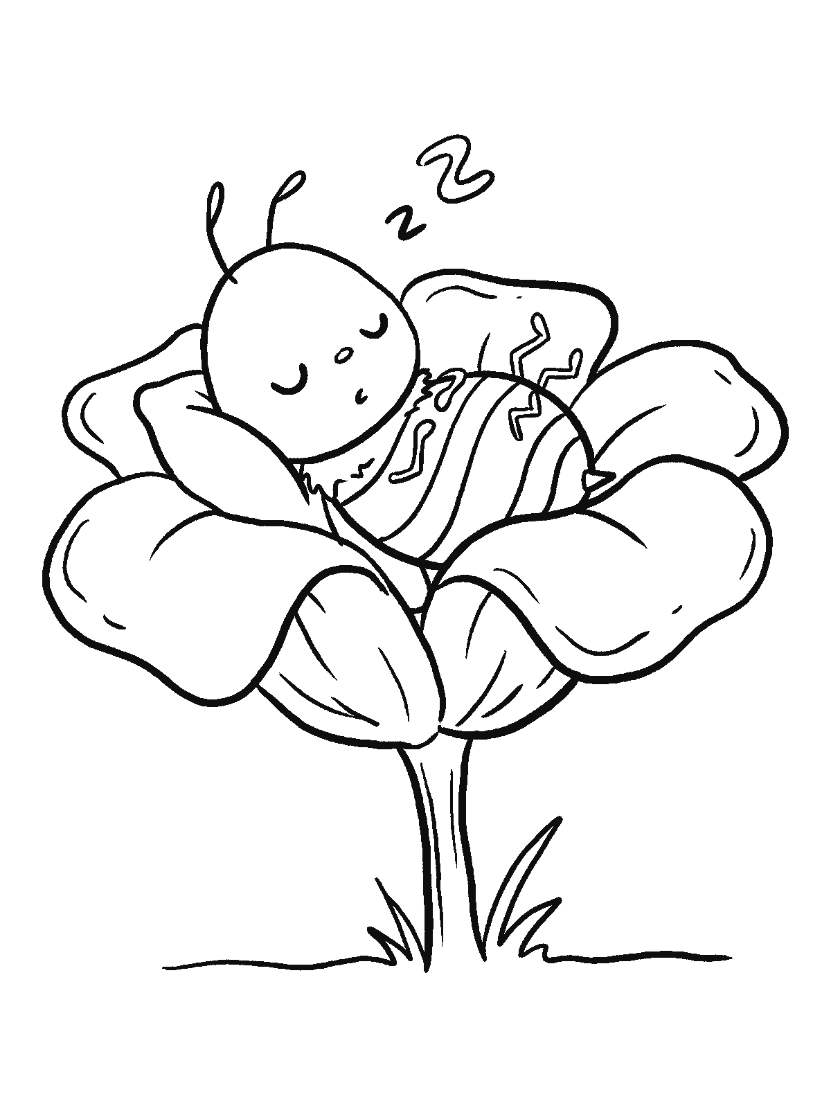 Coloring page: a bee fast asleep curled up inside a big open flower like a bed with a small snore curl above it