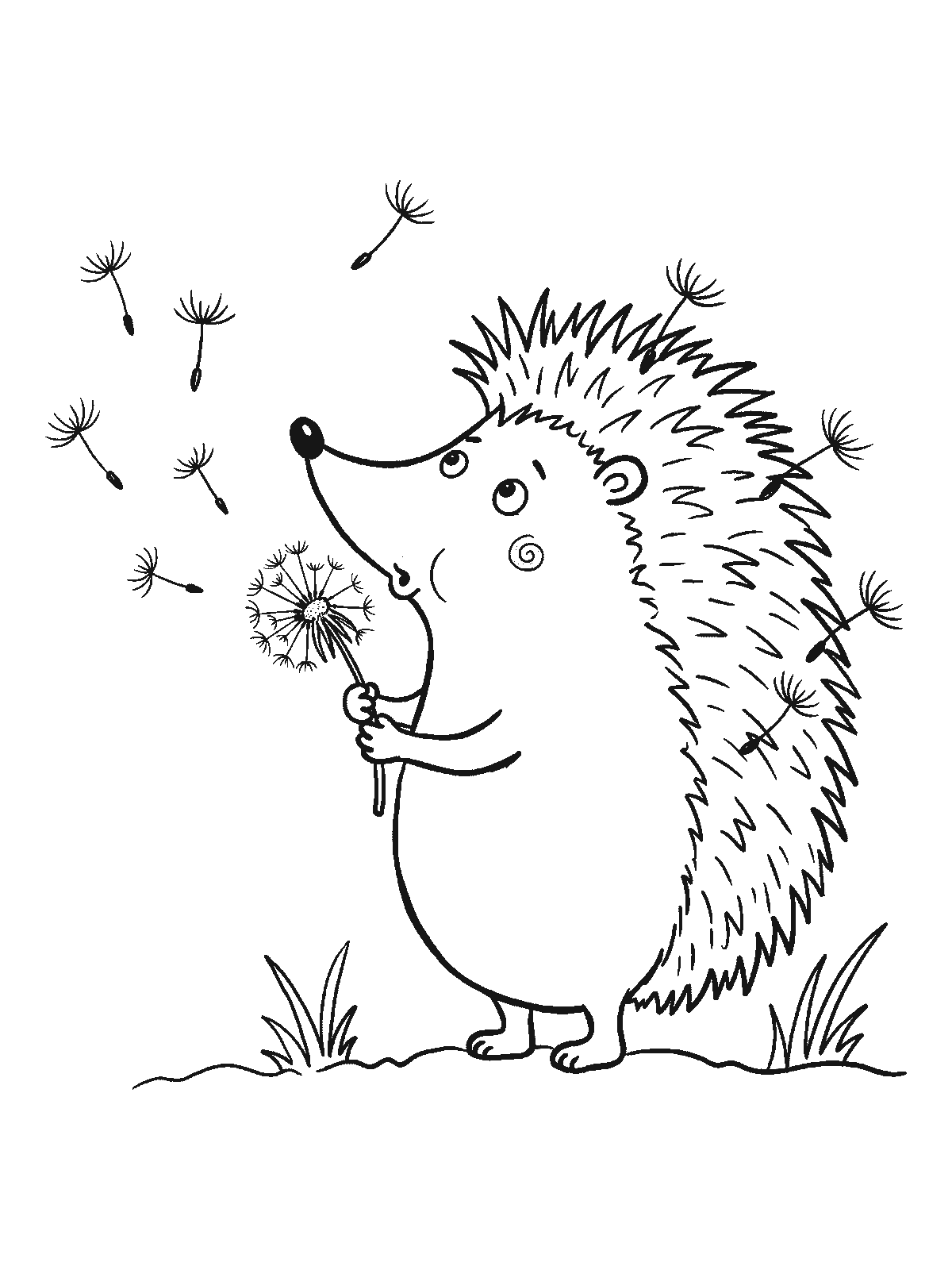 Coloring page: a hedgehog blowing a dandelion with the seeds floating away and a few of them caught on its spines