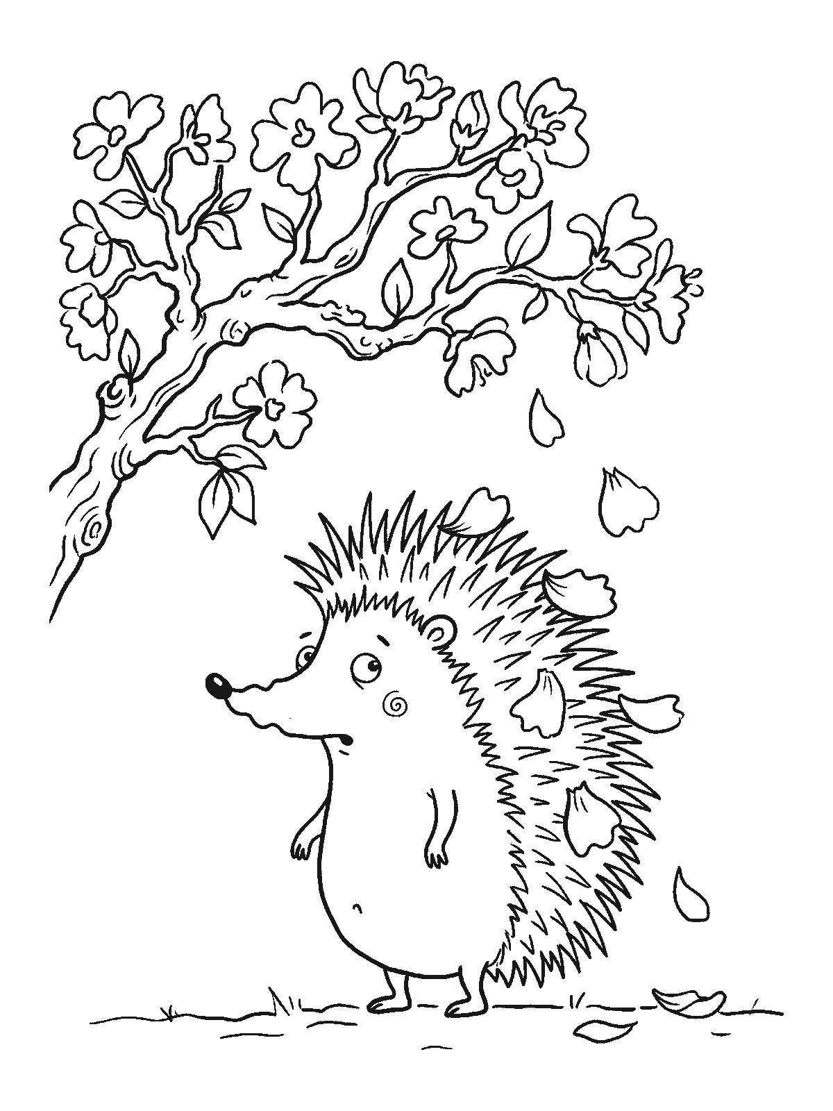Coloring page: a hedgehog standing under a small blossoming tree while soft petals fall down and stick on its spines