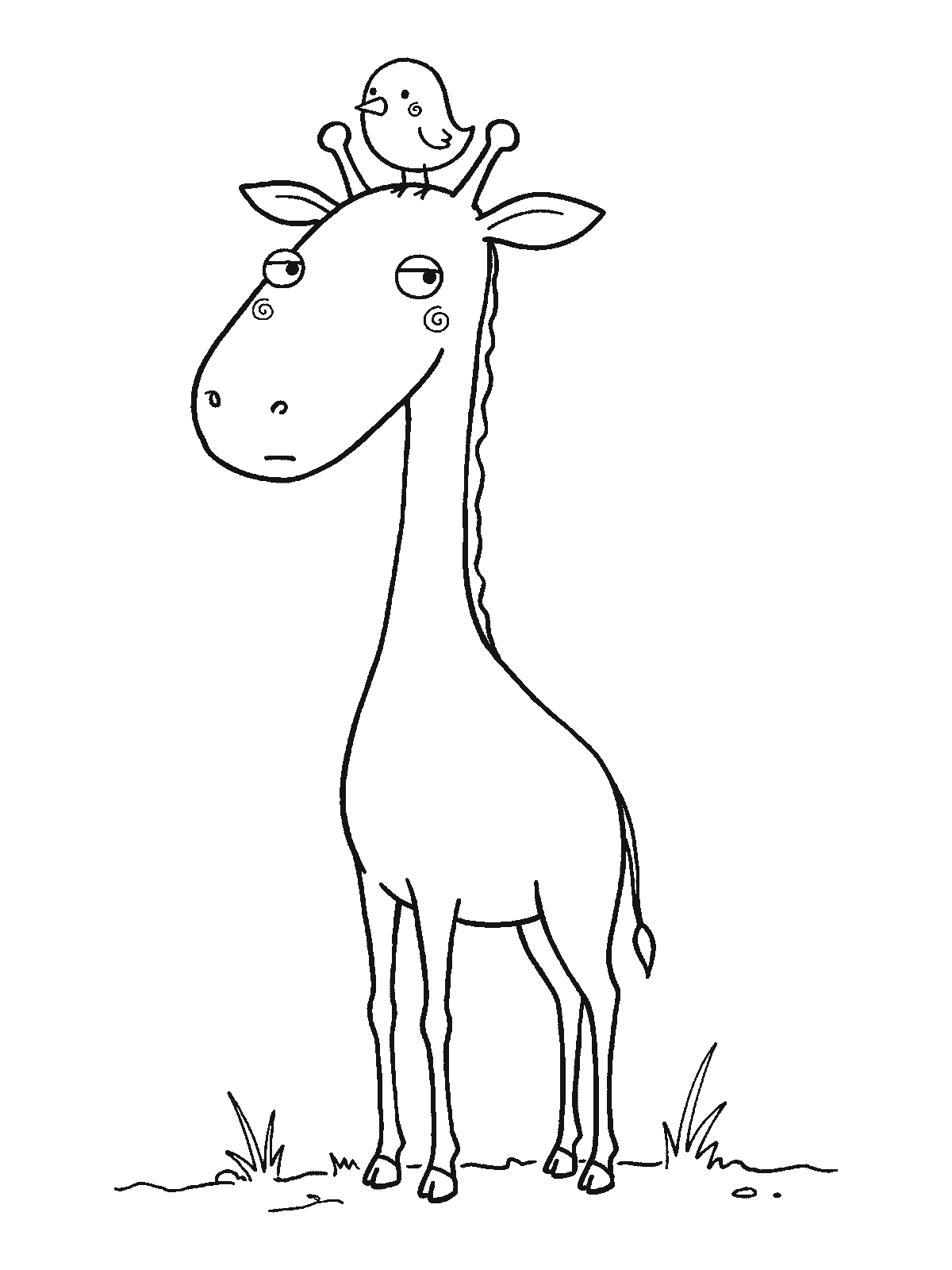 Ausmalbild: Eine Giraffe steht still, auf ihrem Kopf sitzt zwischen den Hörnern ein kleiner runder Vogel