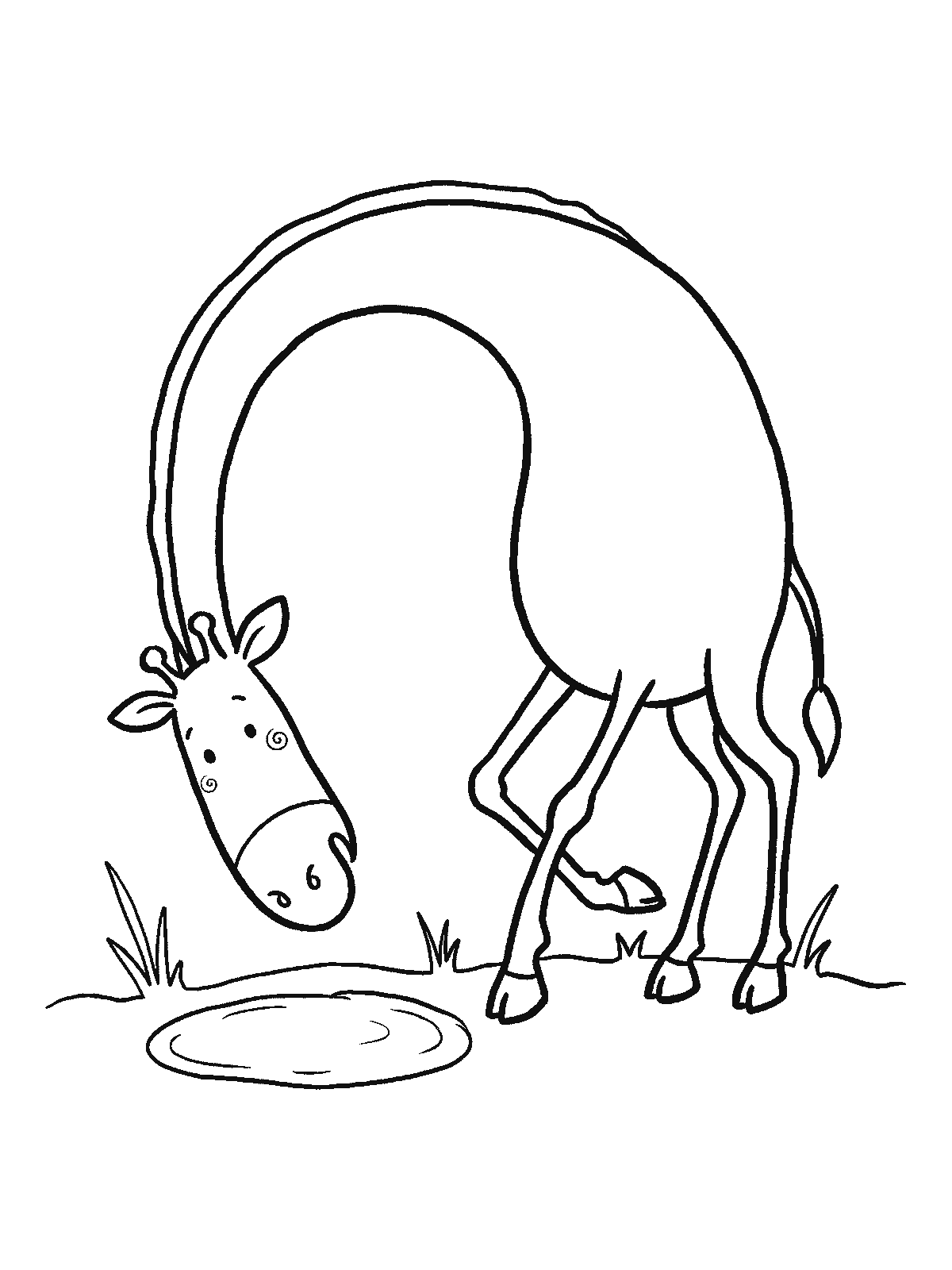 Ausmalbild: Eine Giraffe beugt den Hals in einem großen Bogen nach unten, um in eine kleine runde Pfütze zu schauen