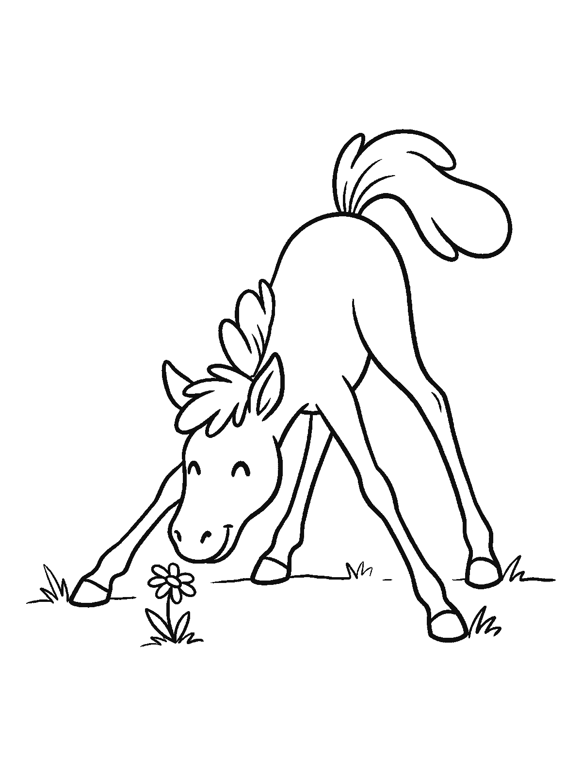 Printable coloring page: a tiny foal with very long thin legs stands in a meadow with its legs splayed wide apart, sniffing a single small flower