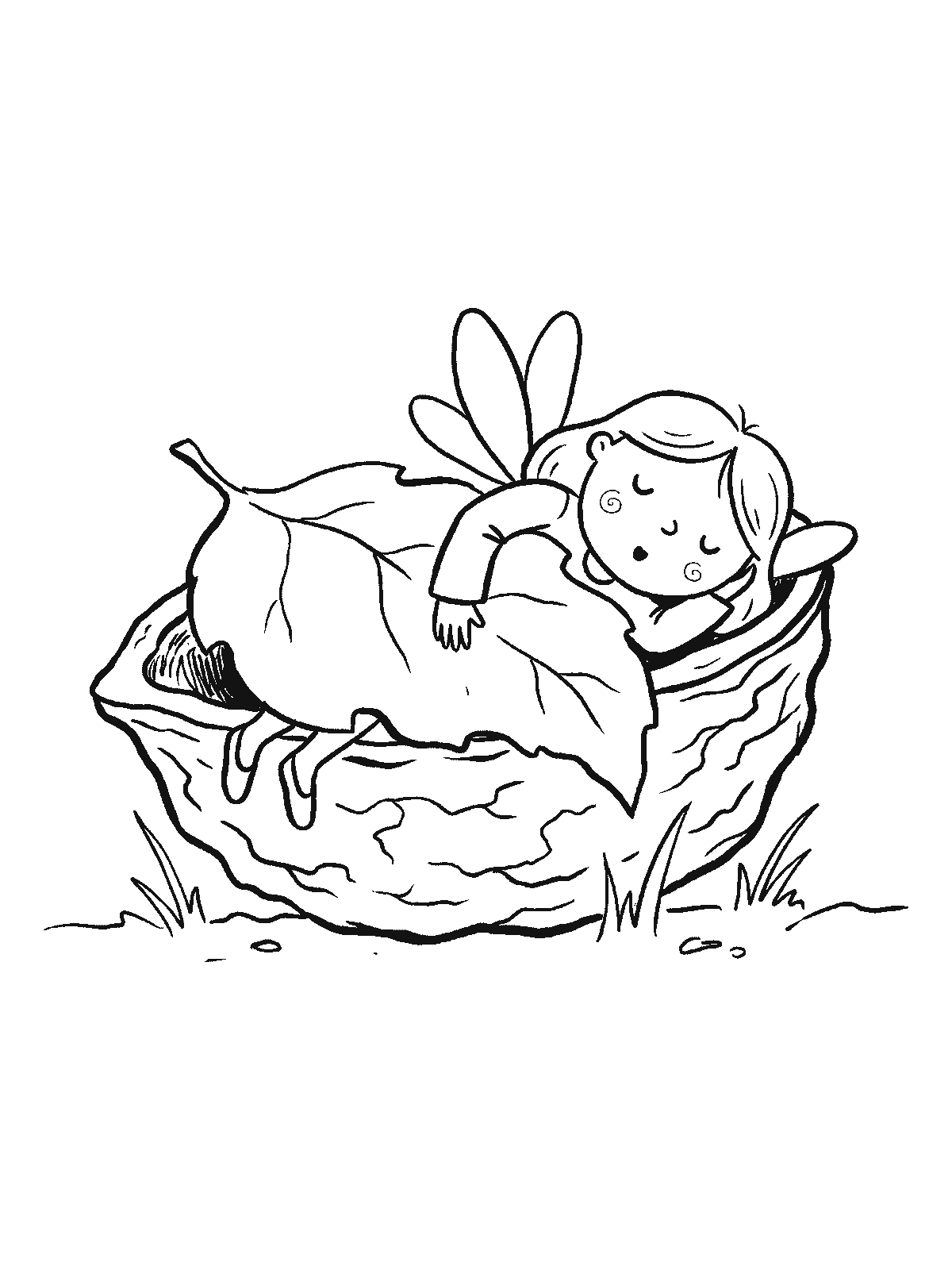 Coloring page: a small fairy fast asleep curled up inside half a walnut shell with a leaf pulled over her like a blanket, wings over the edge