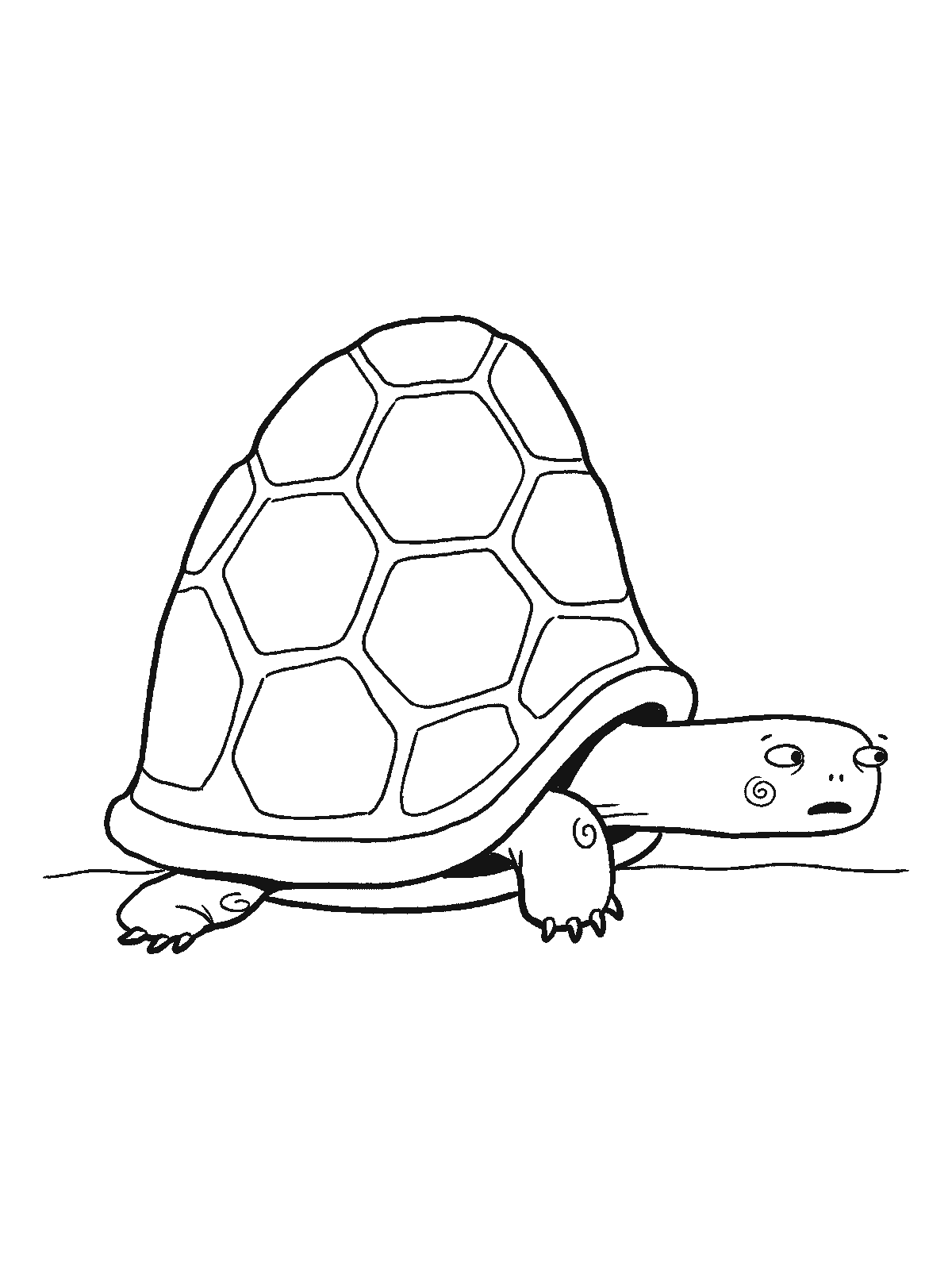 Ausmalbild: Ein Schildkrötenpanzer von der Seite, nur Kopf und ein Vorderfuß schauen heraus, der Rest bleibt darin verborgen