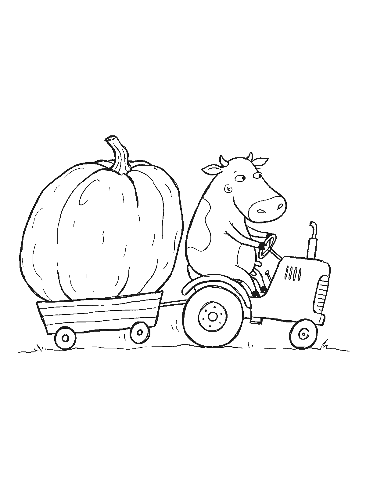 Coloring page: a cow driving a small tractor pulling a trailer that carries one enormous pumpkin
