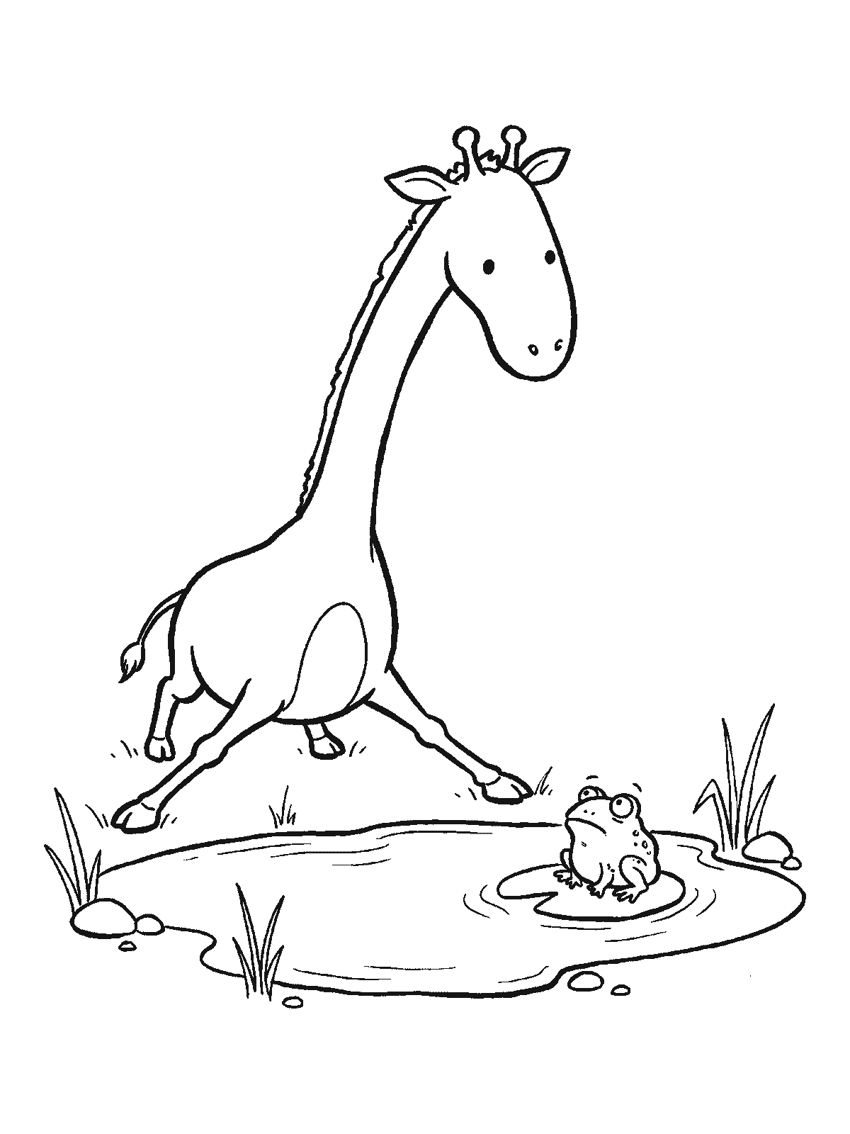 Coloring page: a giraffe standing with its legs spread wide beside a small pond and a frog sitting on a lily pad watching