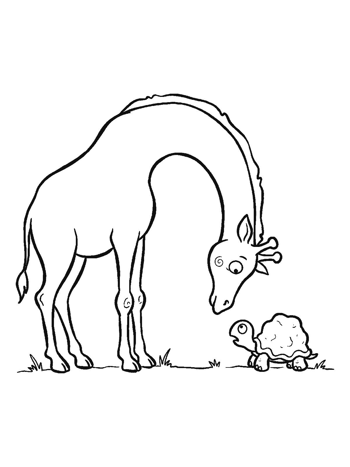 Coloring page: a tall giraffe bending its long neck down to the ground to look a small turtle in the eyes