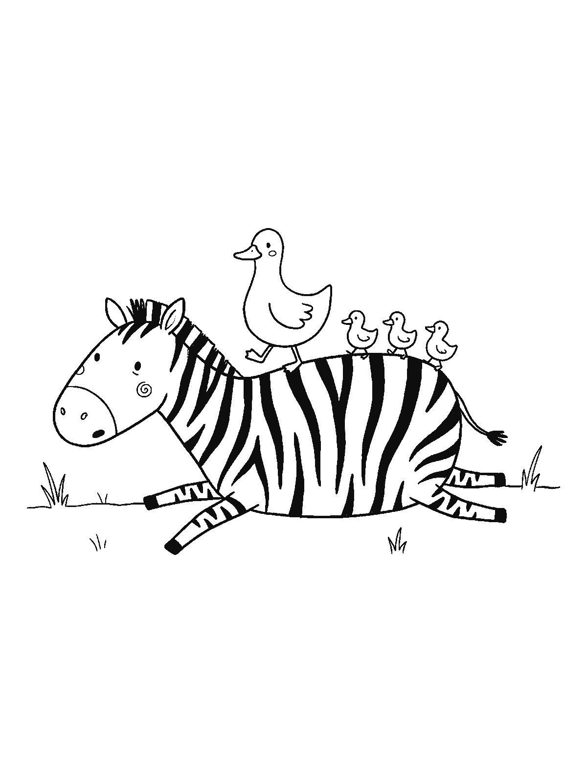 Coloring page: a zebra lying on the ground while a mother duck and three ducklings walk in a line across its striped back