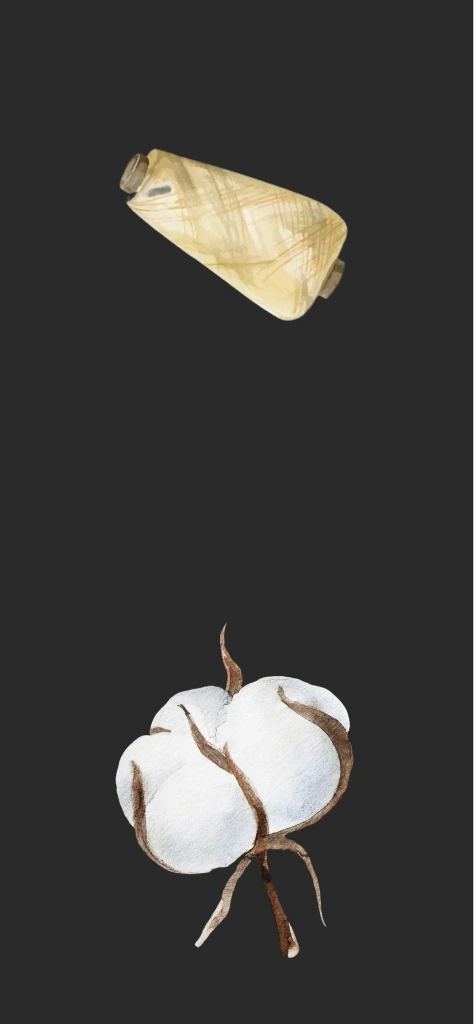 It all begins… with a thread. But before there can be a thread, someone has to grow cotton — a fuzzy little plant with soft,…
